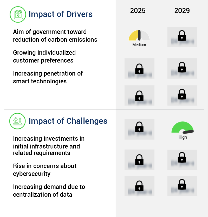 IoT In Energy Grid Management Market Size