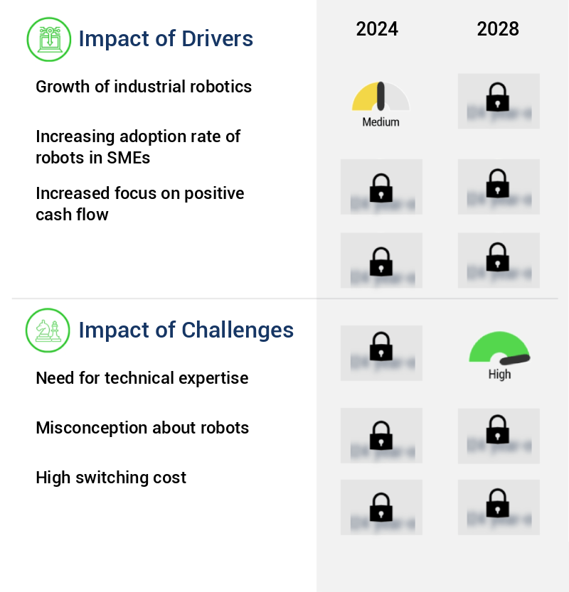 Robotic Flexible Washer Market Size