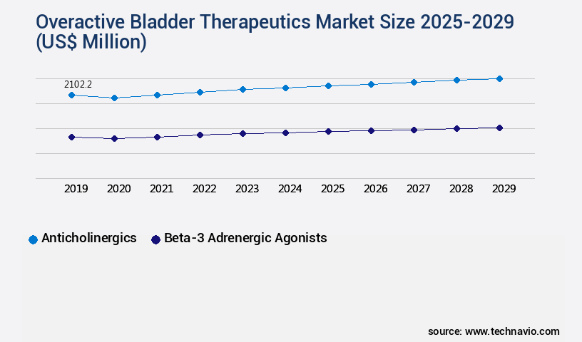 Overactive Bladder Therapeutics Market Size