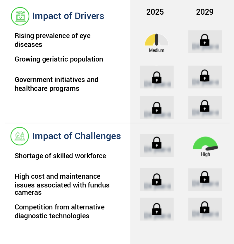 Fundus Camera Market Size