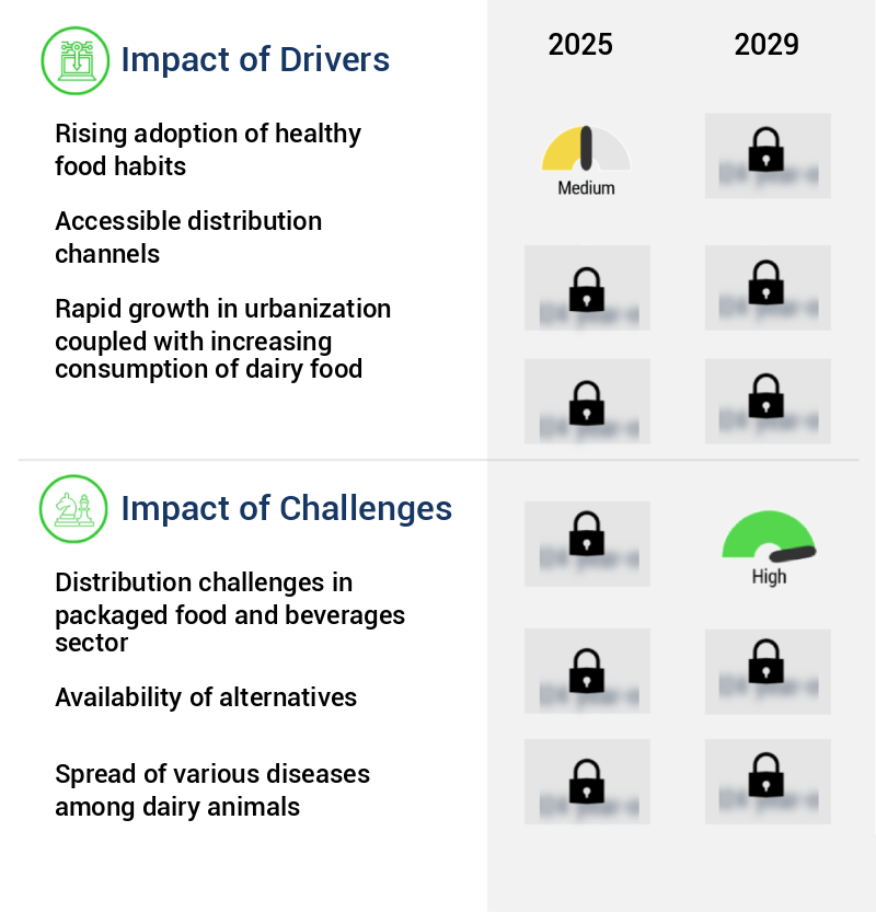 Dairy Food Market Size