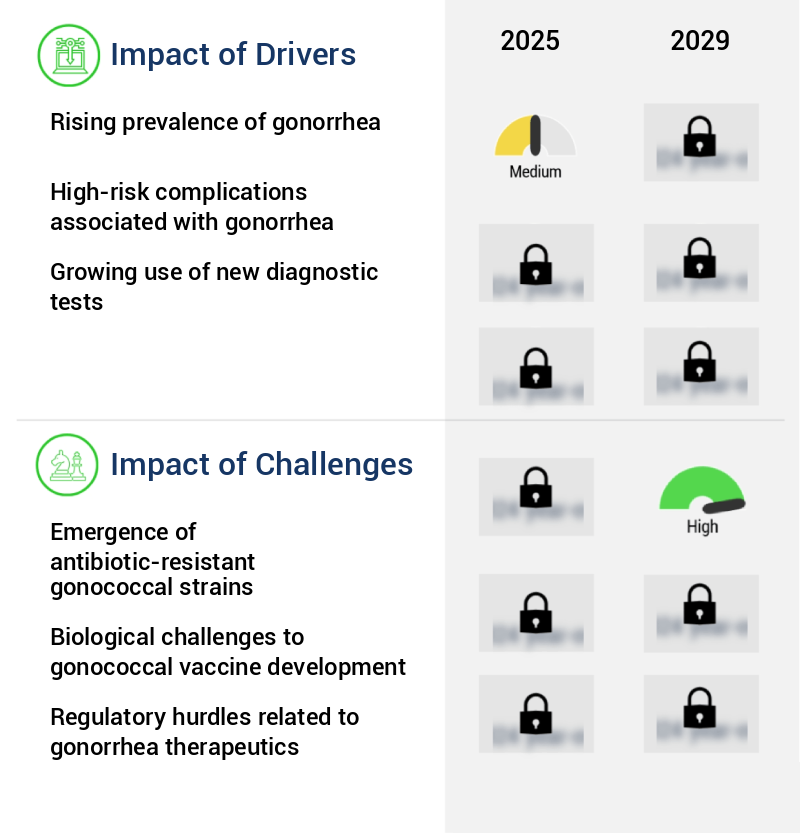 Gonorrhea Therapeutics Market Size
