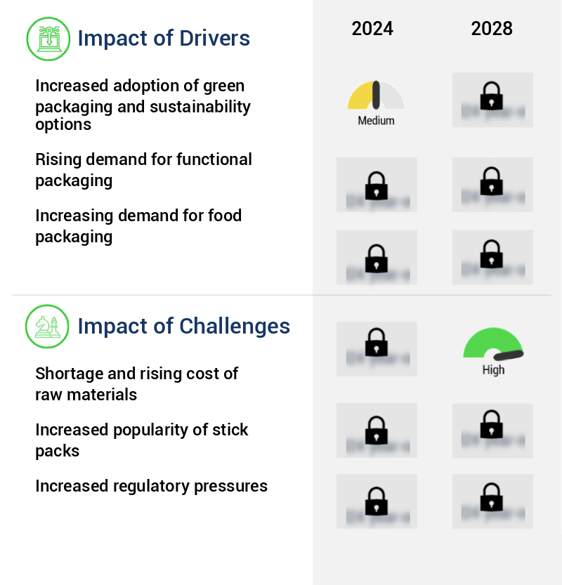 Sachet Packaging Market Size