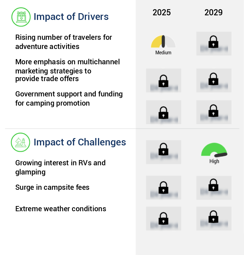 Camping Lights And Lanterns Market Size