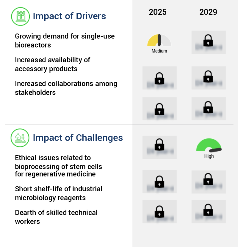 Bioreactors Market Size