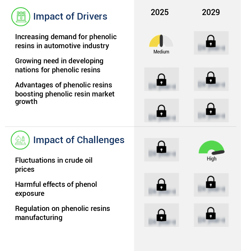 Phenolic Resin Market Size