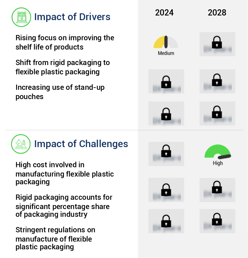 Flexible Plastic Packaging Market Size