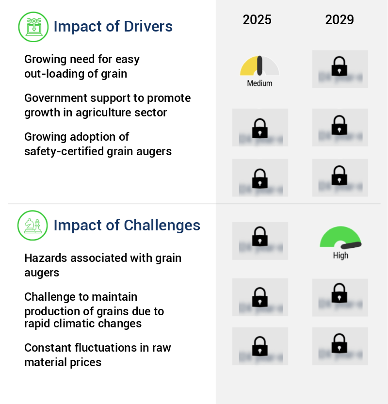 Grain Augers Market Size