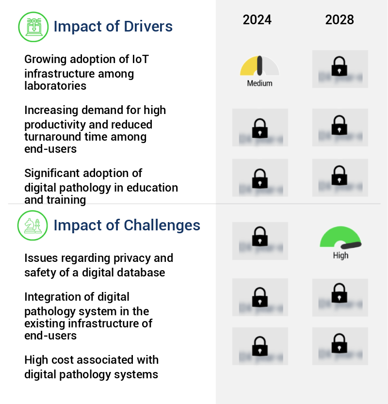 Digital Pathology Market Size