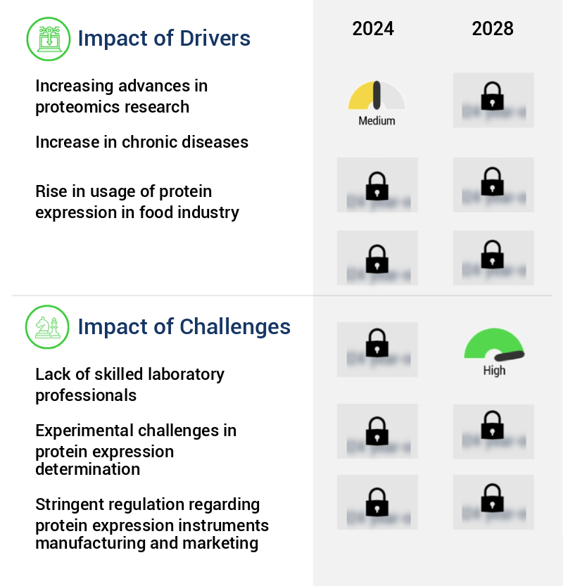 Protein Expression Market Size