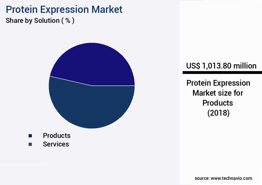 Protein Expression Market Size