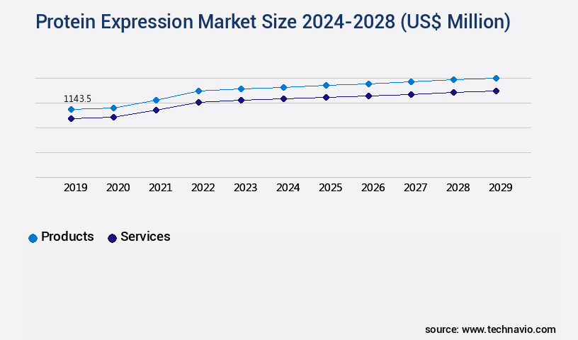 Protein Expression Market Size