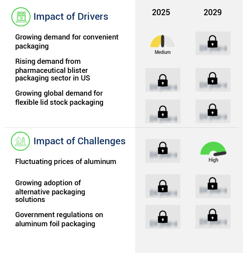 Aluminum Foil Packaging Market Size