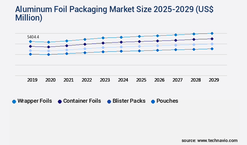 Aluminum Foil Packaging Market Size