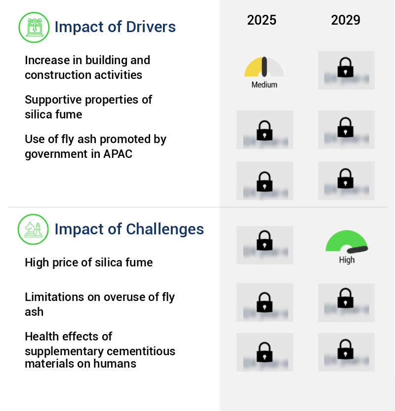 Supplementary Cementitious Materials Market Size