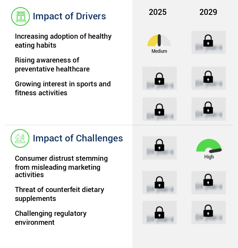 Dietary Supplements Market Share by Geography