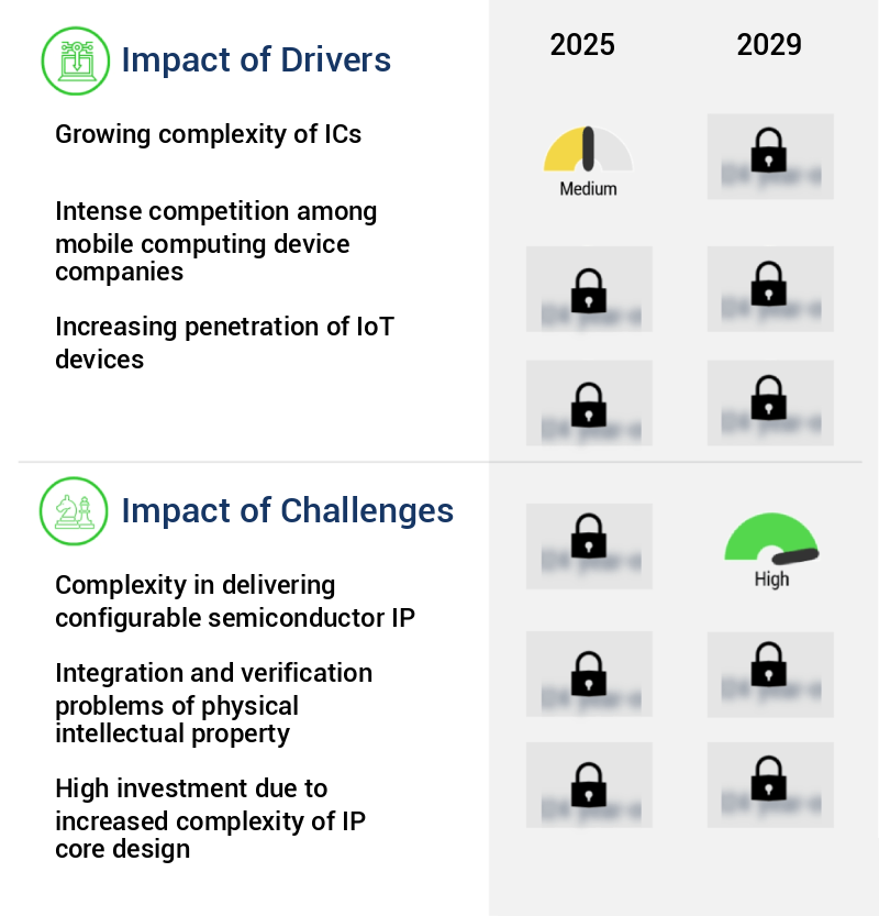 Physical Intellectual Property Market Size