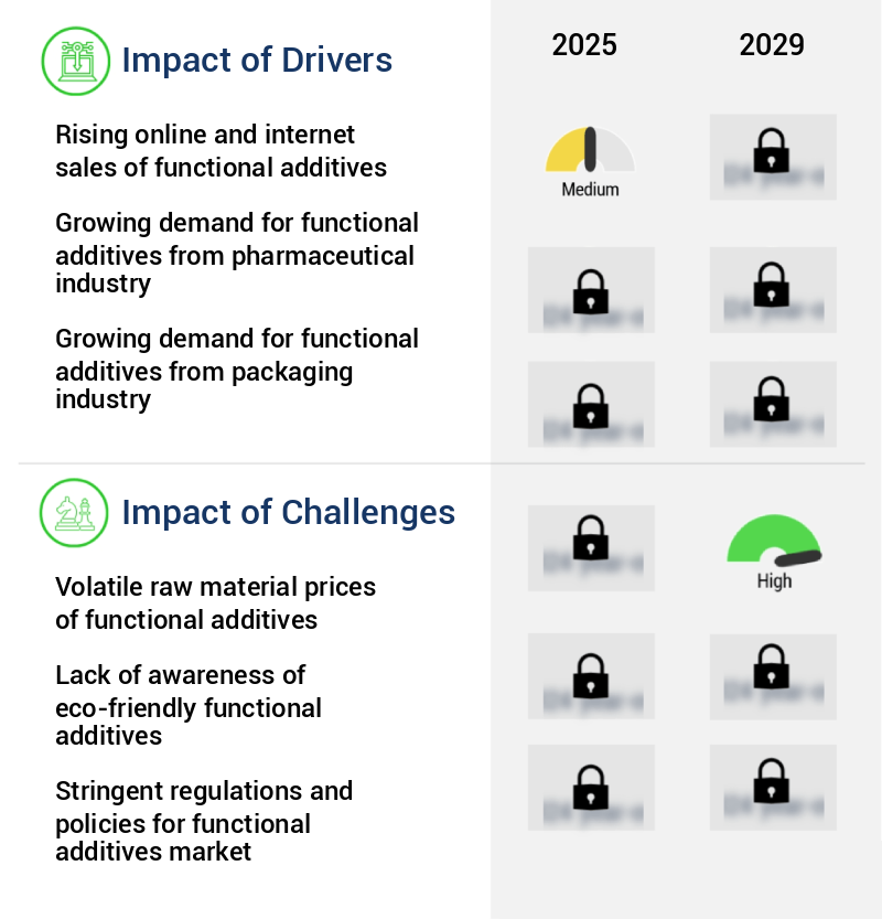 Functional Additives Market Size