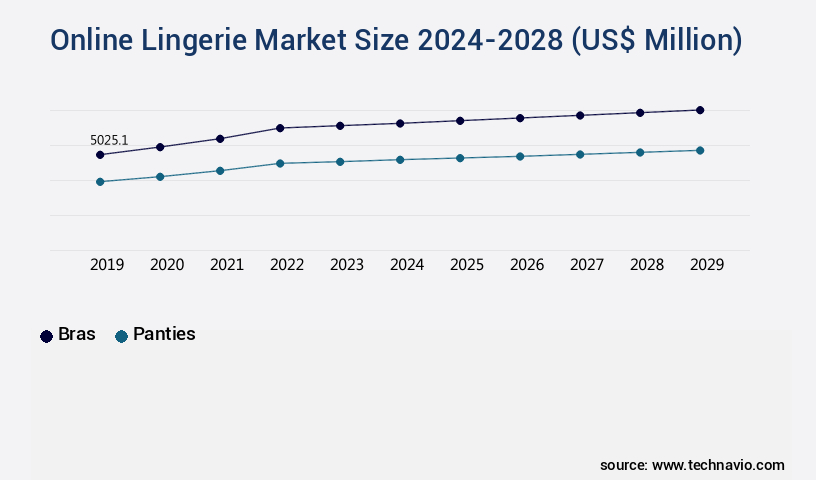 Online Lingerie Market Size