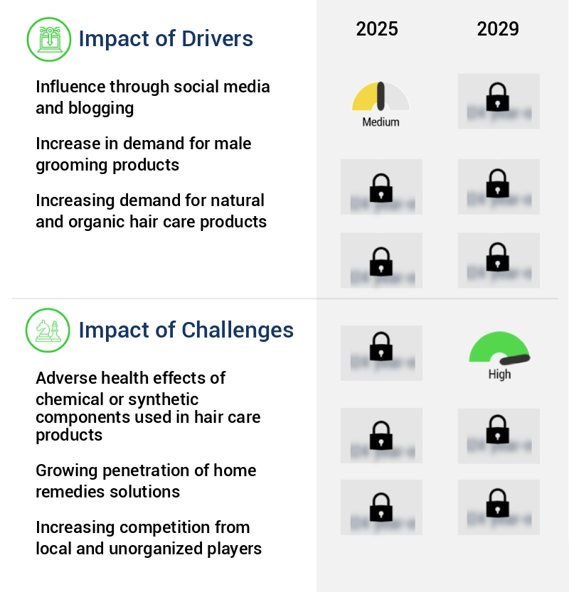 Hair Care Market Size