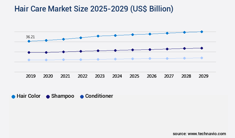 Hair Care Market Size