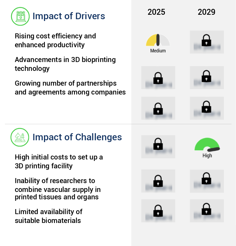 3D Bioprinting Market Size