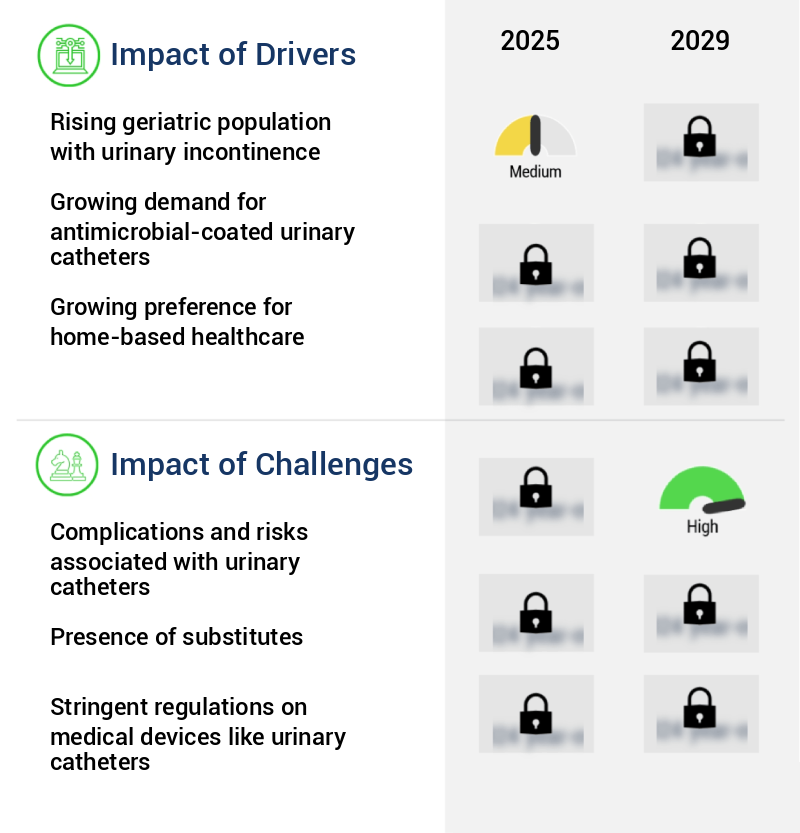 Urinary Catheters Market Size