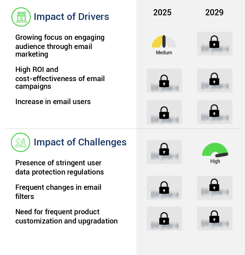 Transactional Anding Emails Market Size