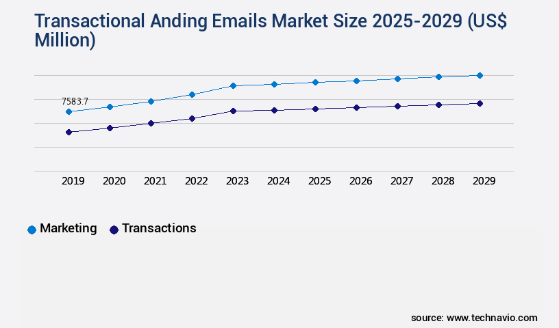 Transactional Anding Emails Market Size