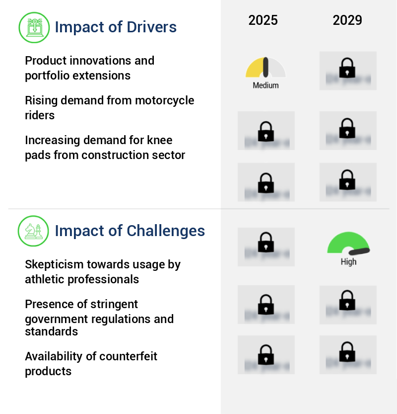 Knee Pad Market Size