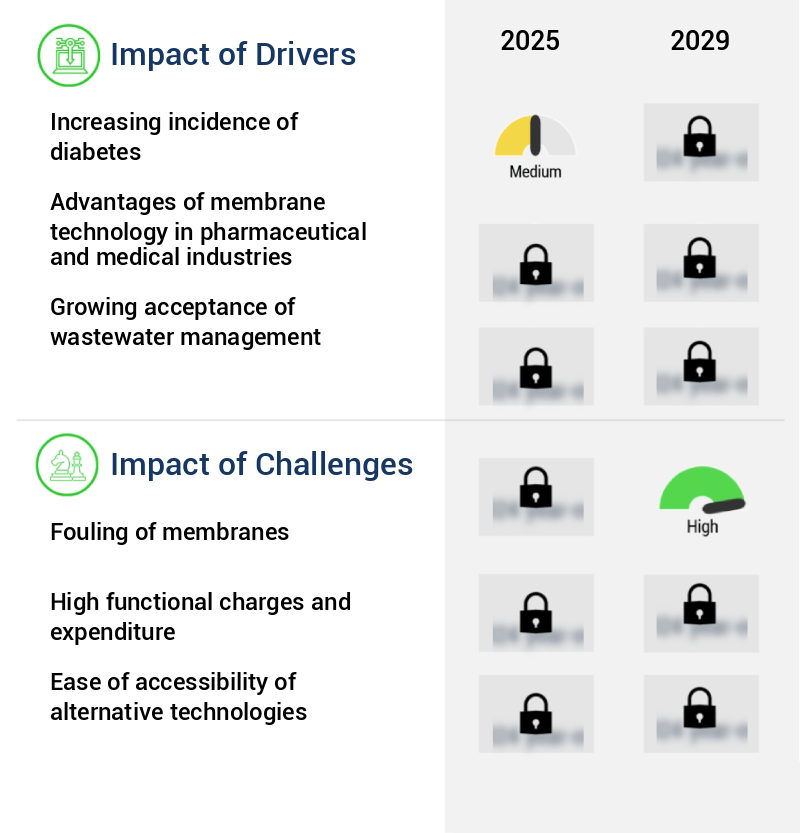 Membrane Market Size