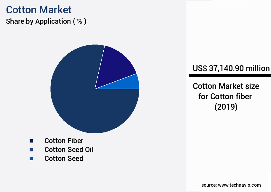 Cotton Market Size