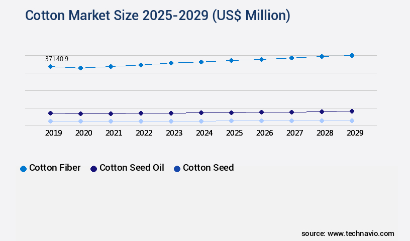 Cotton Market Size