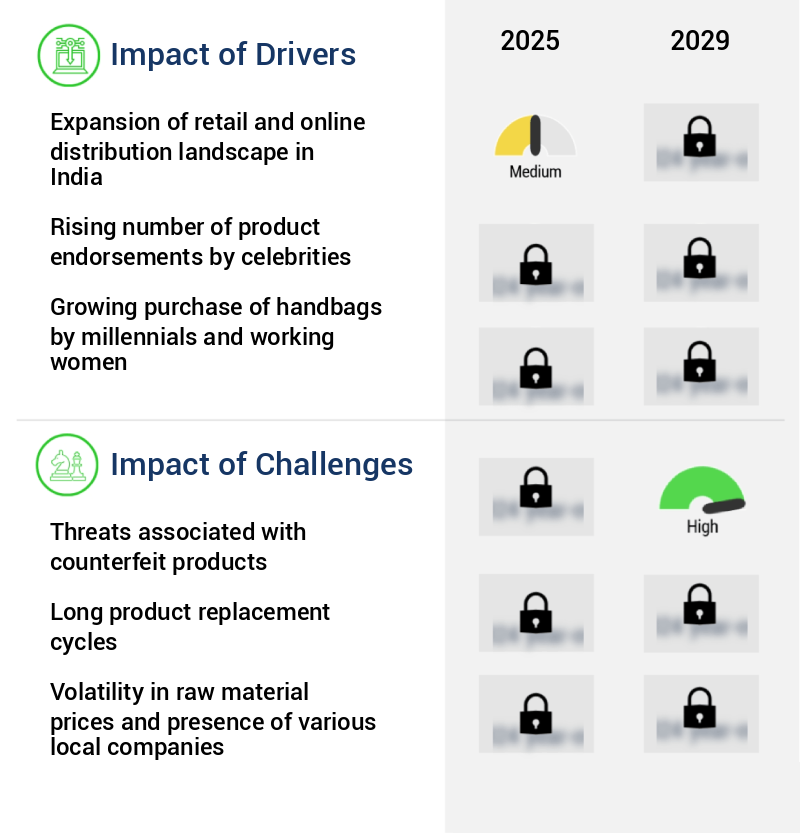Handbags Market in India Size