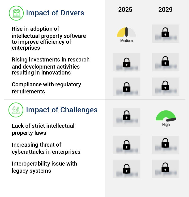 Intellectual Property Software Market Size
