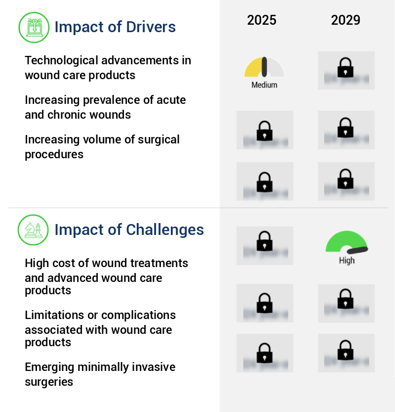 Advanced Wound Care Market Size