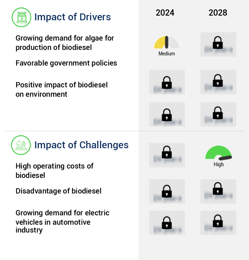 Biodiesel Market Size