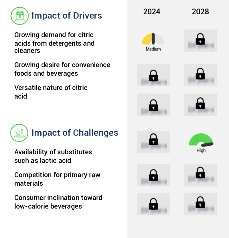 Citric Acid Market Size