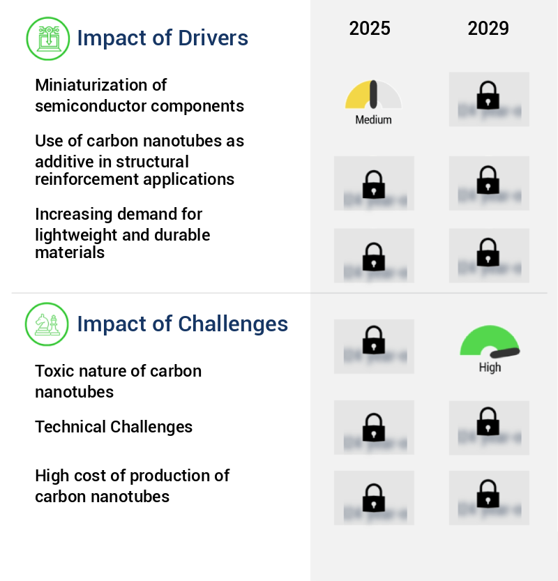 Carbon Nanotube Market Size