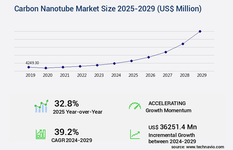 Carbon Nanotube Market Size
