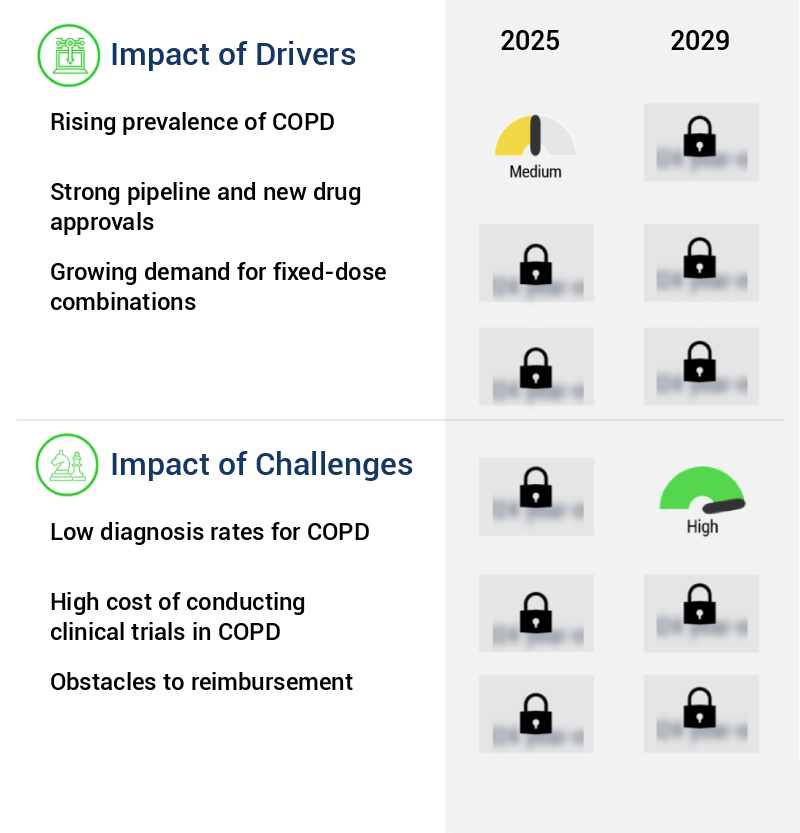 Chronic Obstructive Pulmonary Disease Drugs Market Size