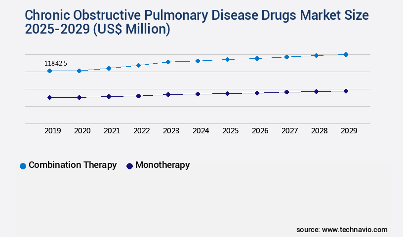 Chronic Obstructive Pulmonary Disease Drugs Market Size
