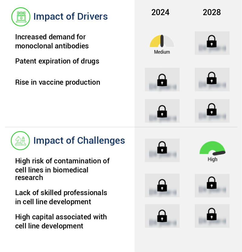 Cell Line Development Market Size