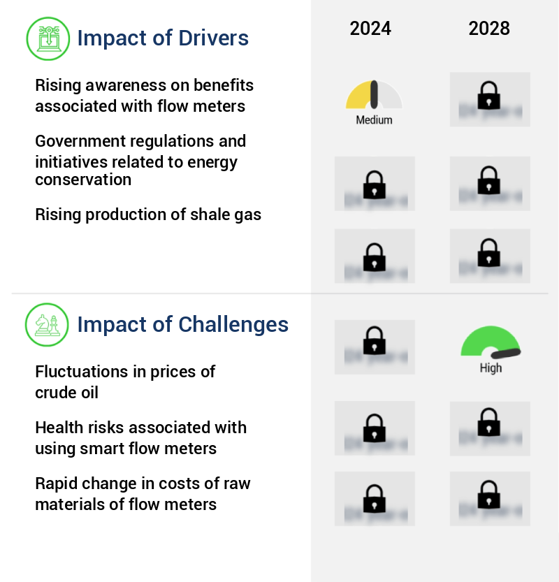 Flow Meter Market Size