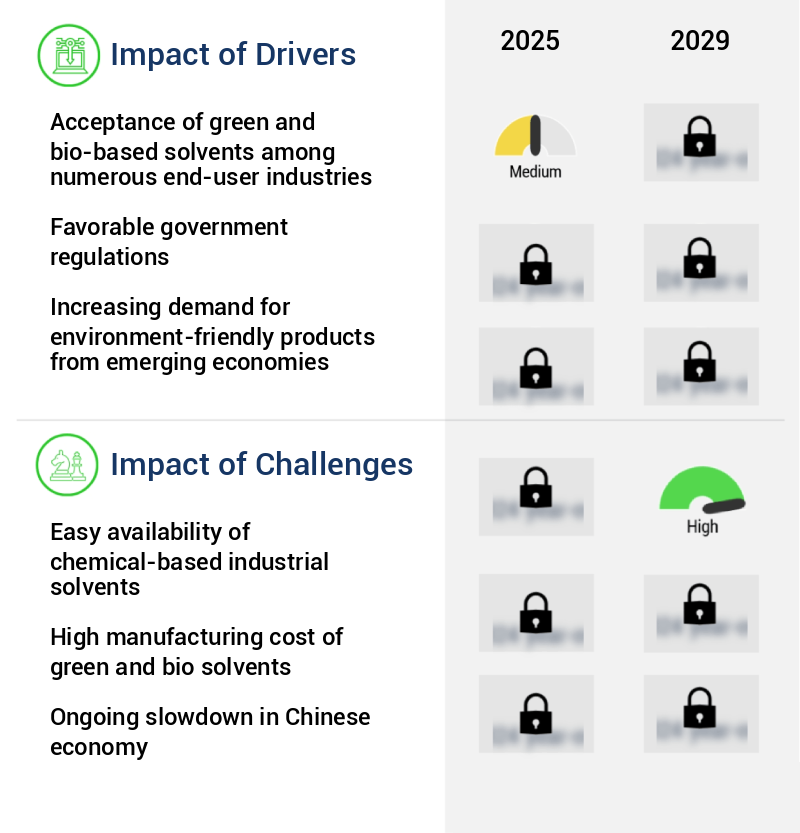 Green And Bio Solvent Market Size