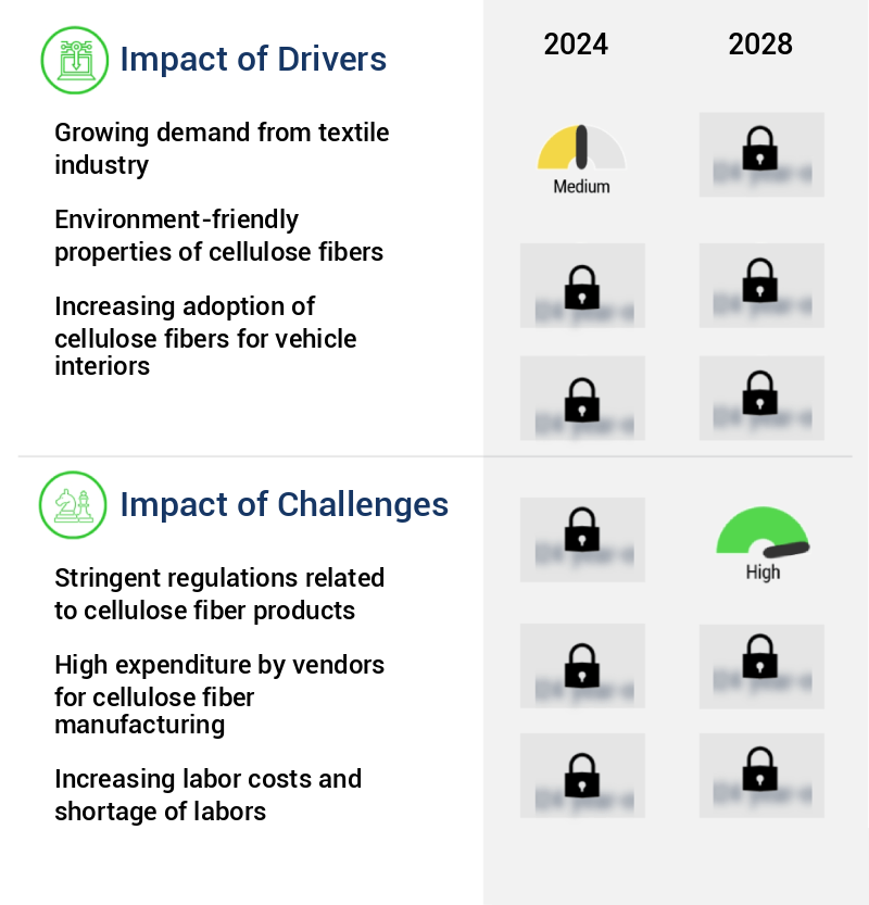 Cellulose Fiber Market Size