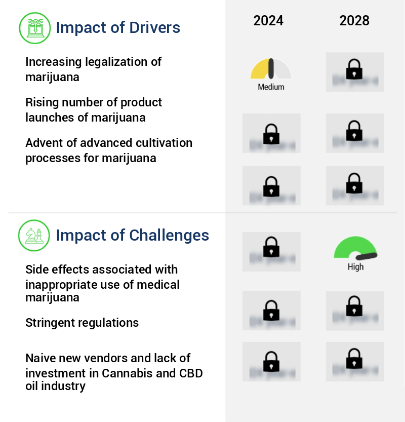 Marijuana Market Size