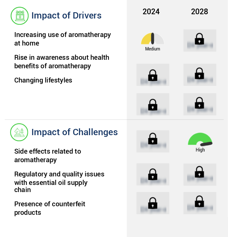 Aromatherapy Market Size