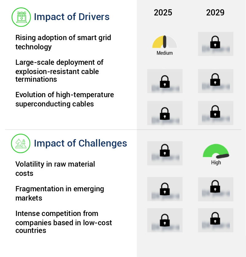 Cables And Accessories Market Size