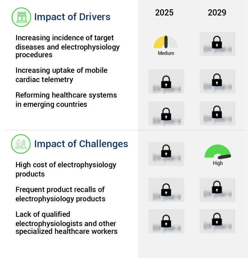 Electrophysiology Market Size